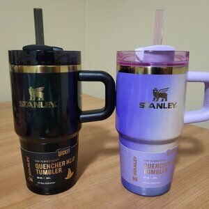 Wicked x Stanley 20 oz Tumbler Lot - Glinda for Good, Elphaba for Good